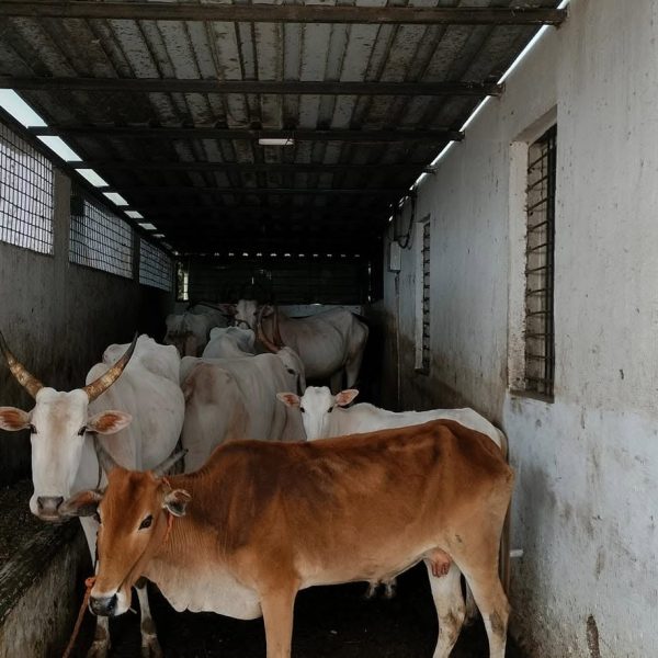 450552134_8447552958606634_6661411843391784733_n